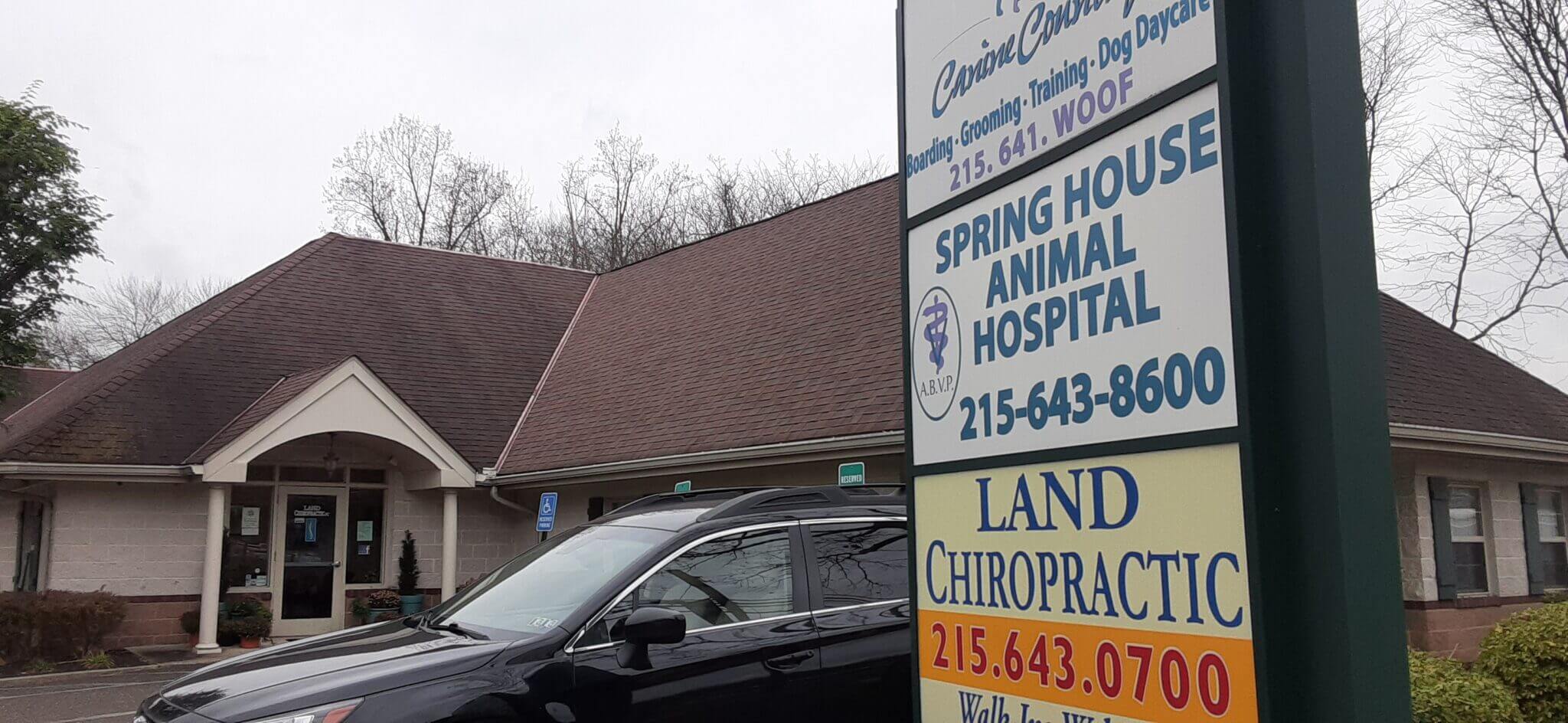 Spring House PA Certified Nutritionist Kirsten Puskar, RDN